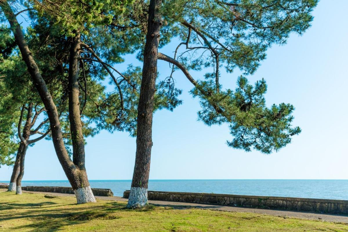 Коттеджные Домики Лдзаа Lidzava Εξωτερικό φωτογραφία
