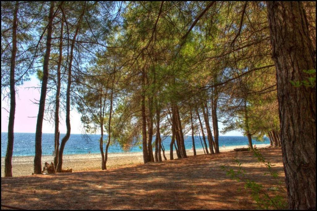 Коттеджные Домики Лдзаа Lidzava Εξωτερικό φωτογραφία
